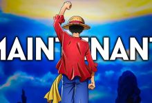 Luffy et l’équipage des Chapeaux de paille dans One Piece