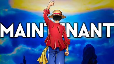 Luffy et l’équipage des Chapeaux de paille dans One Piece
