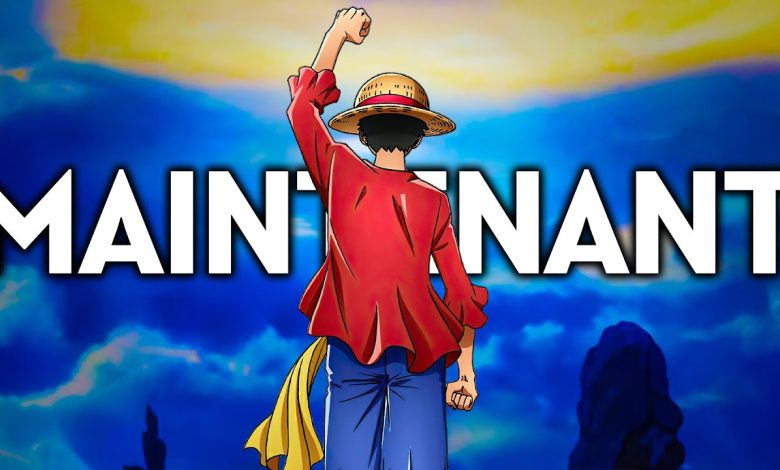 Luffy et l’équipage des Chapeaux de paille dans One Piece