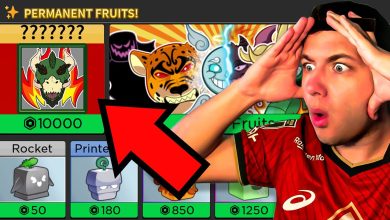 Illustration du mystérieux nouveau fruit mythique teasé dans Blox Fruits aux côtés du rework Dragon